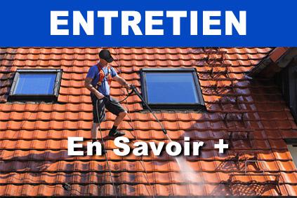 Entretien toiture 45