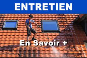 Entretien toiture 45